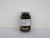 藏品(白頭翁)的圖片